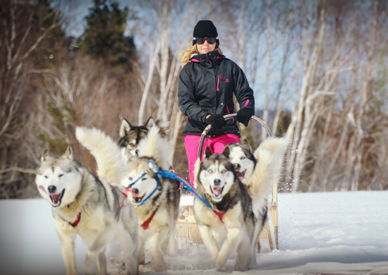 DSC_0738[1] (modifiée)