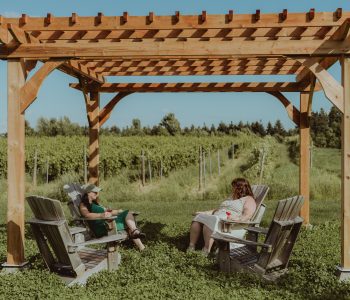 Domaine des Feux Follets - 18 juillet 2025 - Stéphanie Allard-TCA - LR (5)