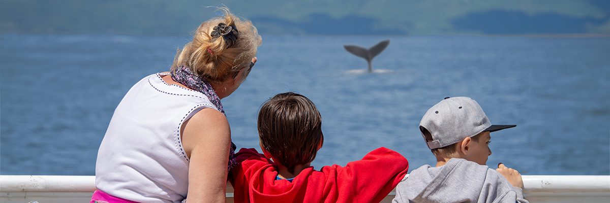 Ferme5etoiles_baleines_famille_1200x400