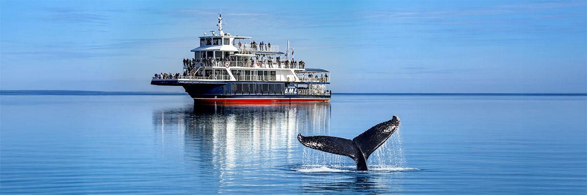 GF-queue-baleine_1200x400