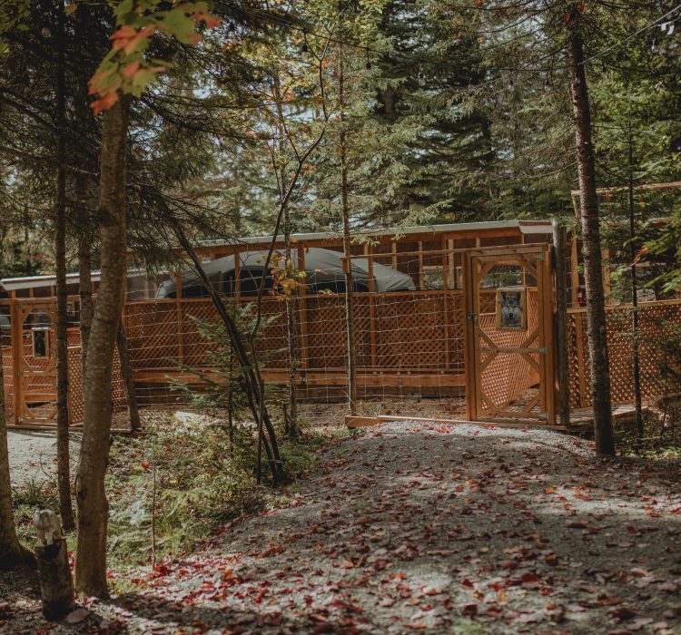 Sanctuaire de Loups Lupo - 19-20 septembre 2024 - Stéphanie Allard-TCA-100