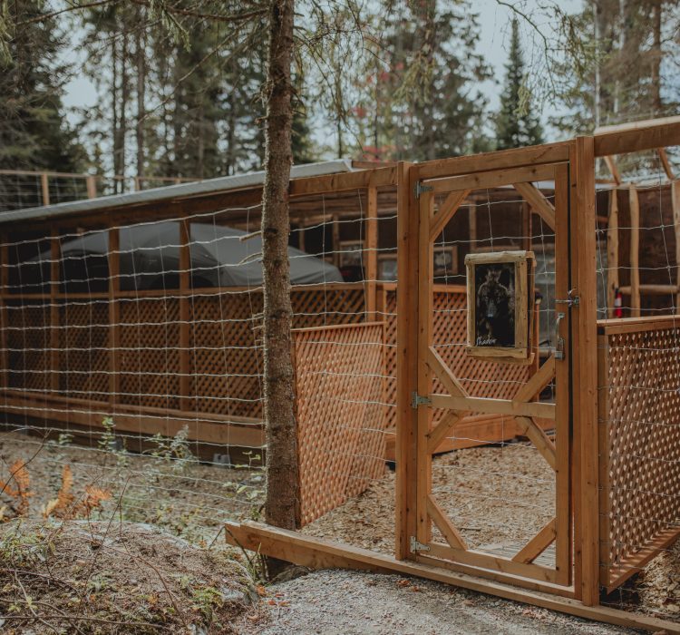 Sanctuaire de Loups Lupo - 19-20 septembre 2024 - Stéphanie Allard-TCA-98